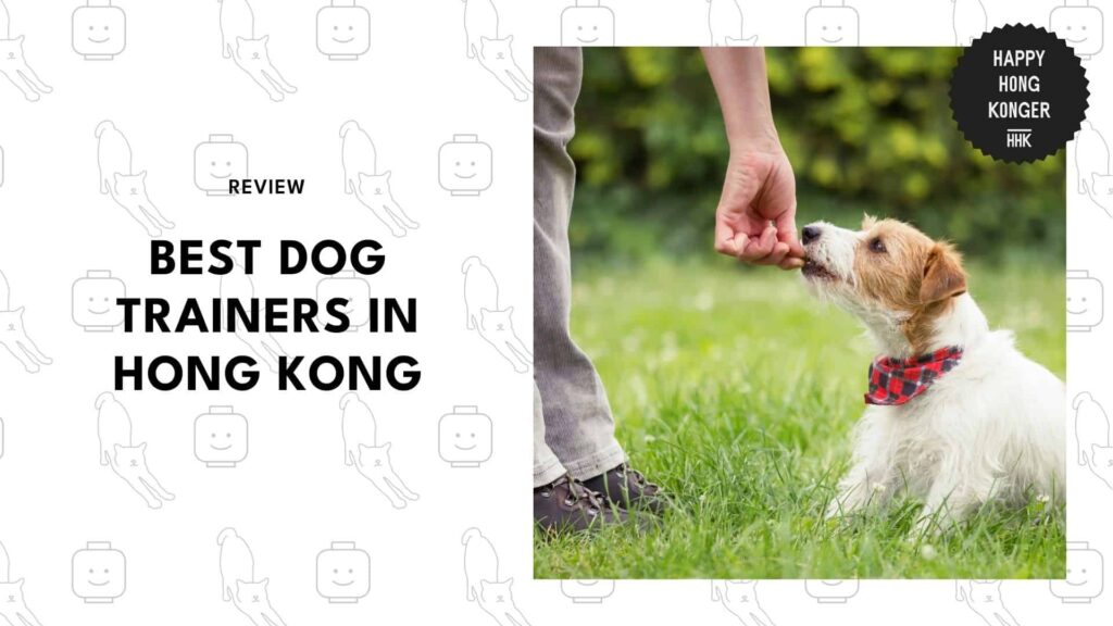 dog-trainers-hong-kong