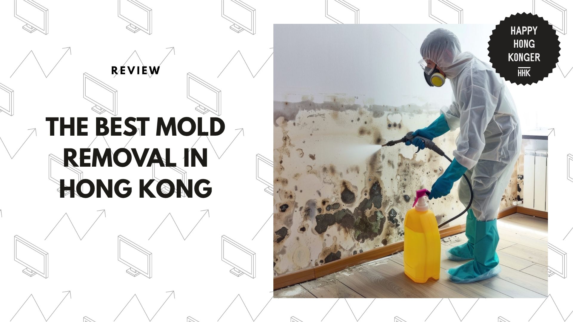 best-mold-removal-hong-kong-banner